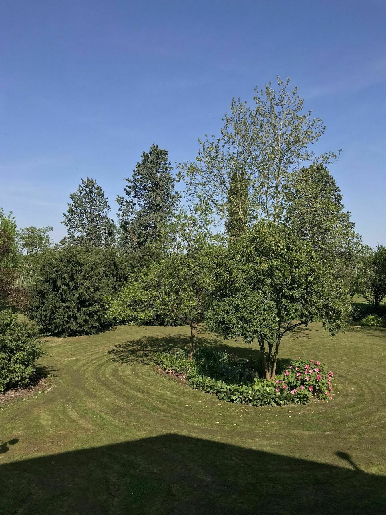 Al Vecchio Fienile Bed & Breakfast San Michele al Tagliamento Exterior photo